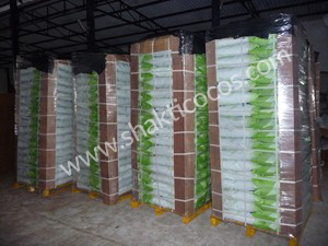 Shakti Cocos