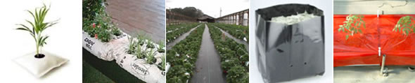 Grow Pillows, Indoor Bags, Outdoor Bags, Qwik Fill Bags and Coloured Growbags
