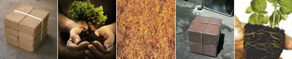 Small Planks - Ecopeat Small Plank